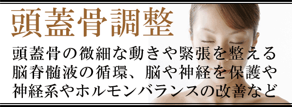しらさぎ活法整体院名古屋頭蓋骨調整画像